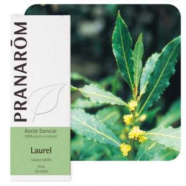Laurel Aceite Esencial 10ml Pranarom Pranarôm - 1